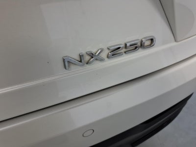 2025 Lexus NX 250 Premium