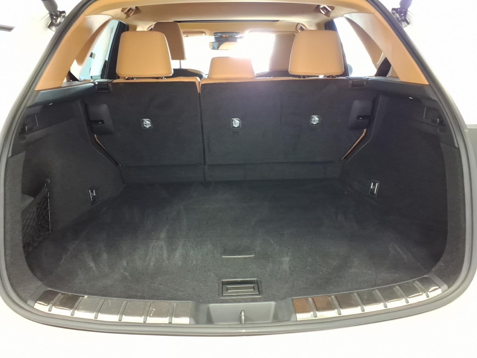 2025 Lexus NX 250 Premium