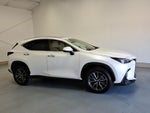 2025 Lexus NX 250 Premium