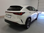2025 Lexus NX 250 Premium