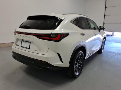 2025 Lexus NX 250 Premium