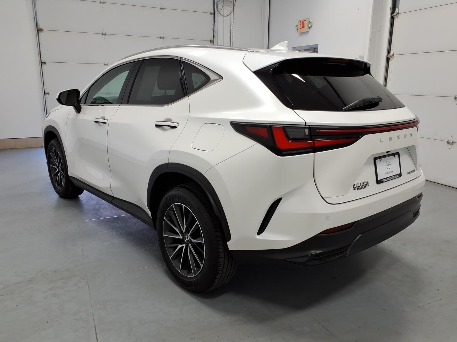 2025 Lexus NX 250 Premium