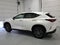 2025 Lexus NX 250 Premium
