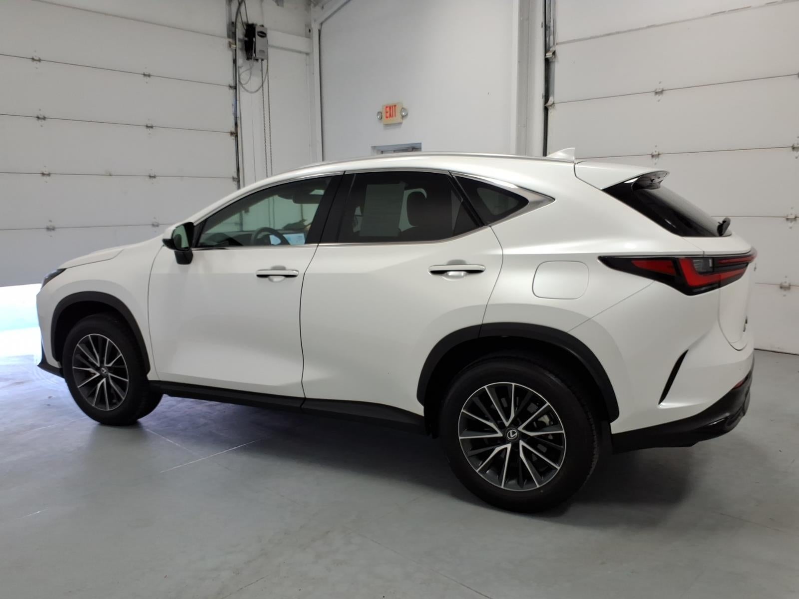 2025 Lexus NX 250 Premium