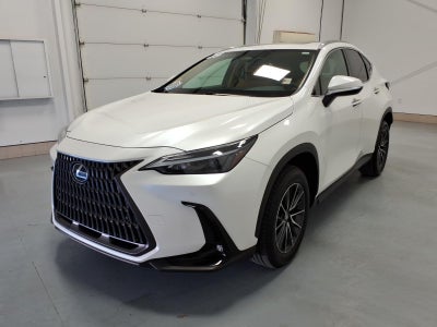 2025 Lexus NX 250 Premium